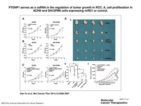 PTENP1 serves as a ceRNA in the regulation of tumor growth in RCC