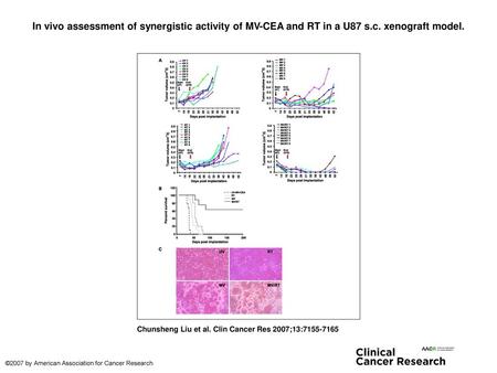 In vivo assessment of synergistic activity of MV-CEA and RT in a U87 s