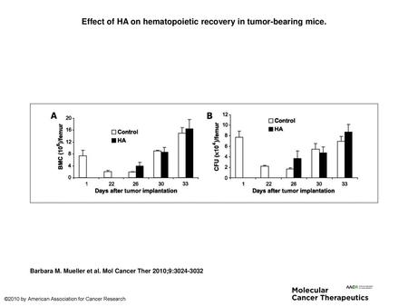 Effect of HA on hematopoietic recovery in tumor-bearing mice.