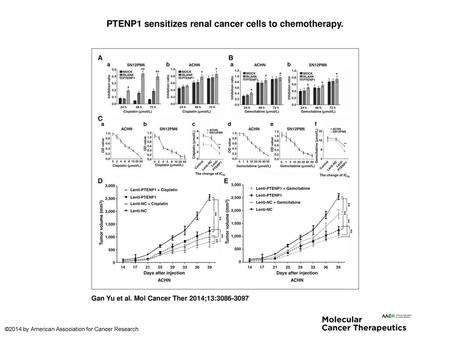 PTENP1 sensitizes renal cancer cells to chemotherapy.