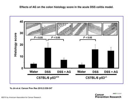 Effects of AG on the colon histology score in the acute DSS colitis model. Effects of AG on the colon histology score in the acute DSS colitis model. Ten.