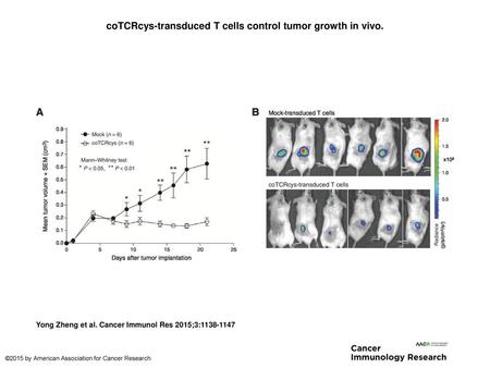 coTCRcys-transduced T cells control tumor growth in vivo.