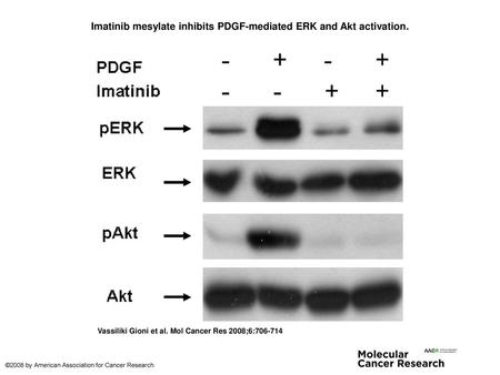 Imatinib mesylate inhibits PDGF-mediated ERK and Akt activation.