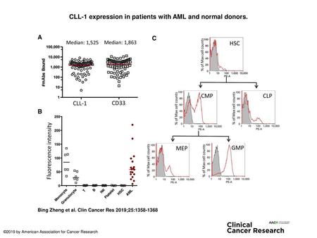 CLL-1 expression in patients with AML and normal donors.