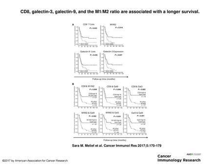 CD8, galectin-3, galectin-9, and the M1/M2 ratio are associated with a longer survival. CD8, galectin-3, galectin-9, and the M1/M2 ratio are associated.