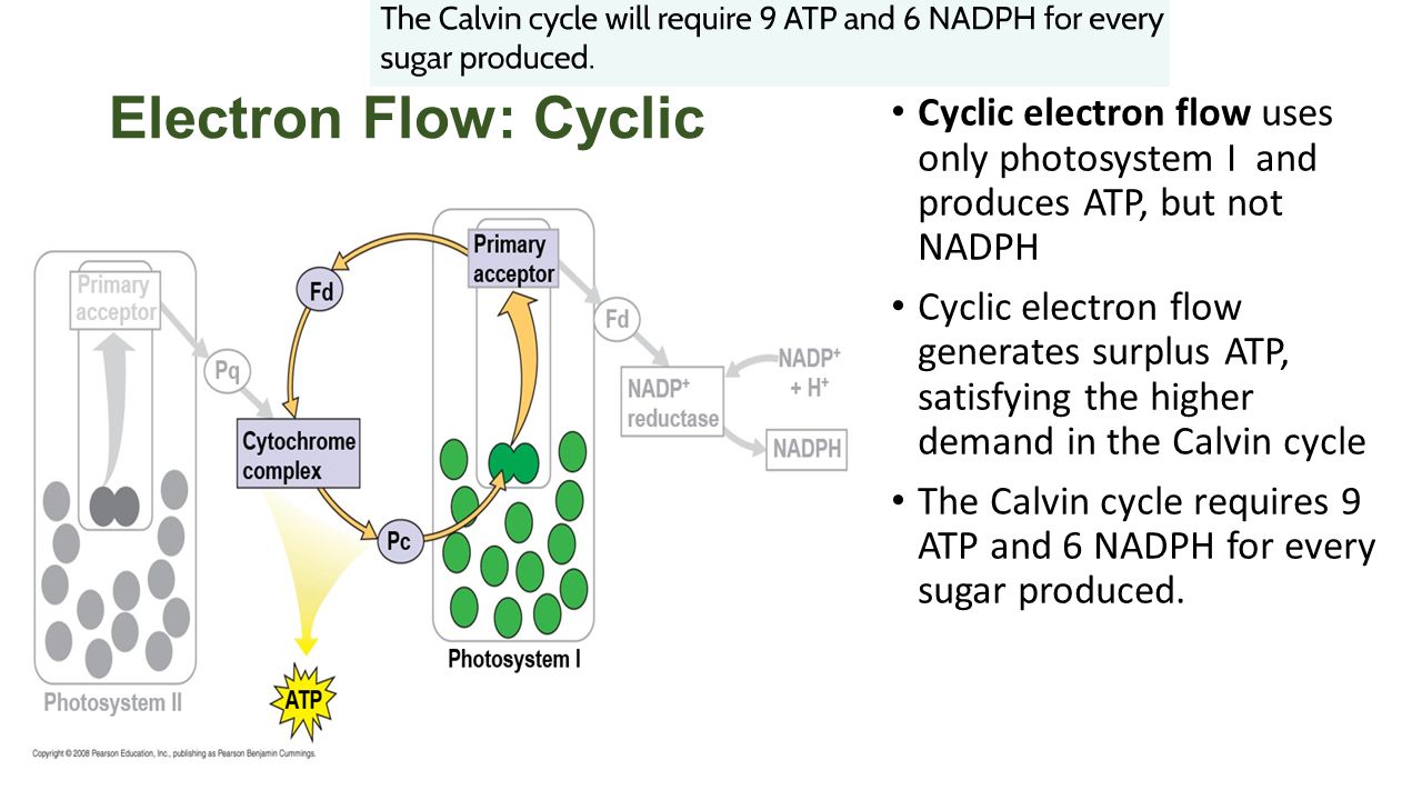 download rigid designation and theoretical