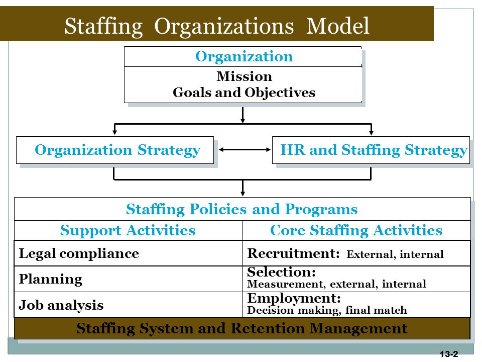 organization and staffing plan