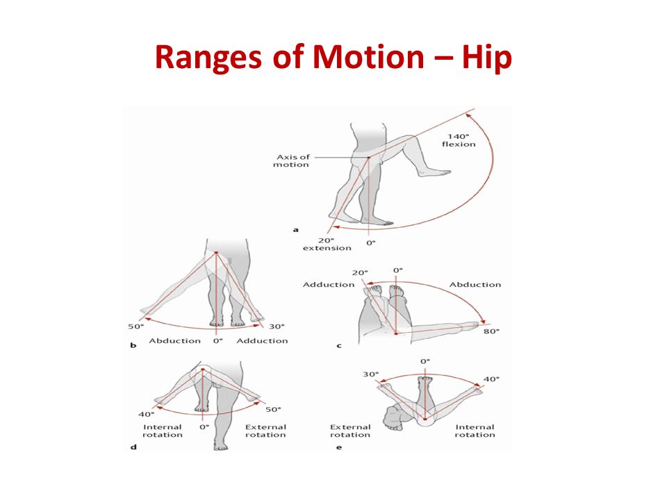 Ranges+of+Motion+%E2%80%93+Hip