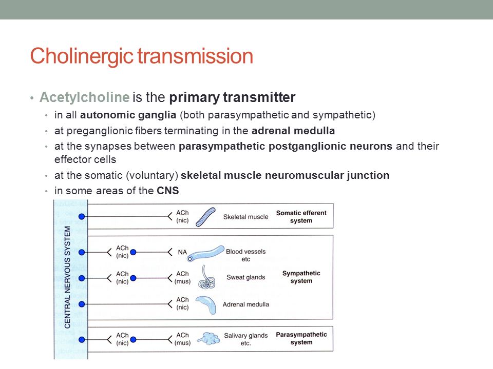 download equivariant surgery theories and their