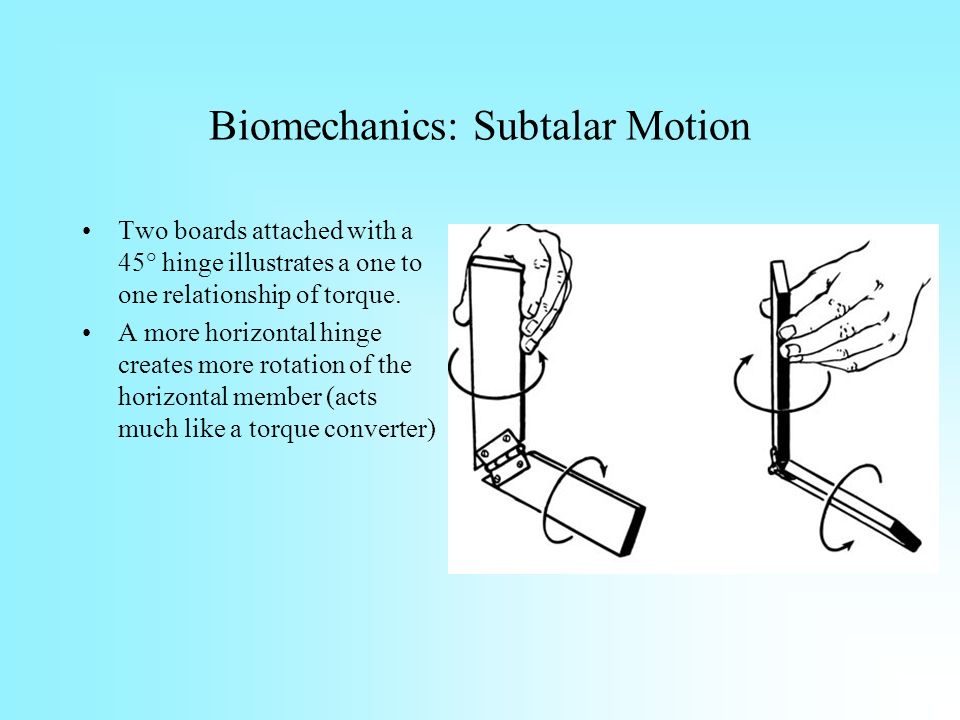Biomechanics%3A+Subtalar+Motion.jpg