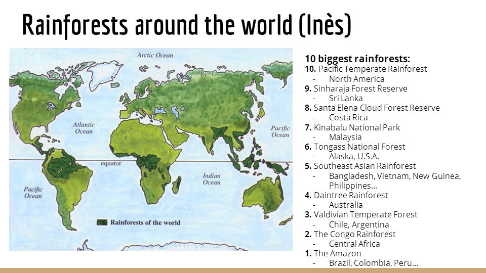 Asian Rainforest Map 9