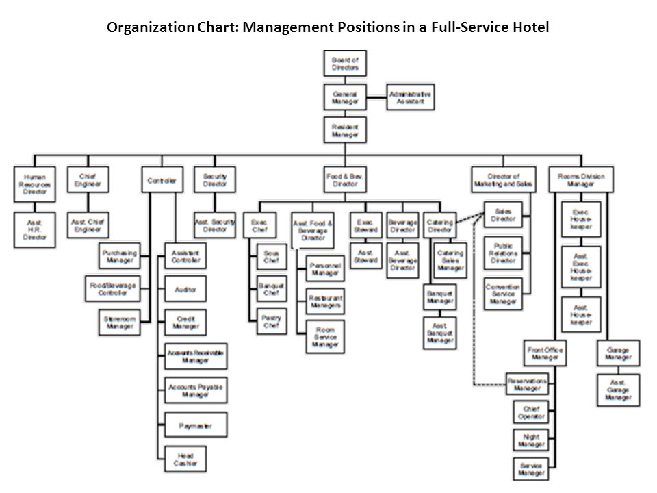 Hierarchy Chart In Hotel Industry