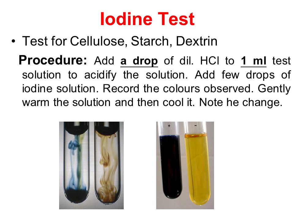 Iodine Test For Starch