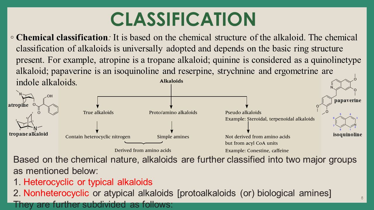 download principles of tzeltal plant classification