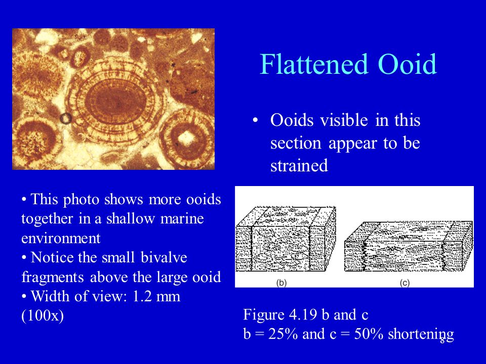 download introduction to topological