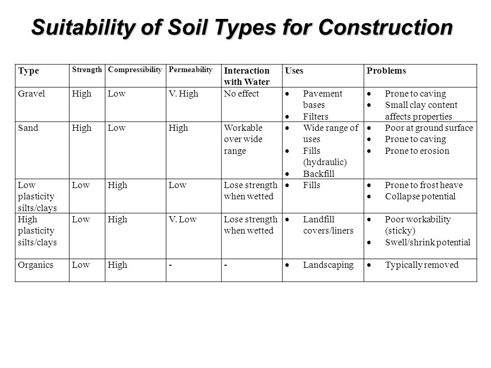 download english spanish dictionary of plant