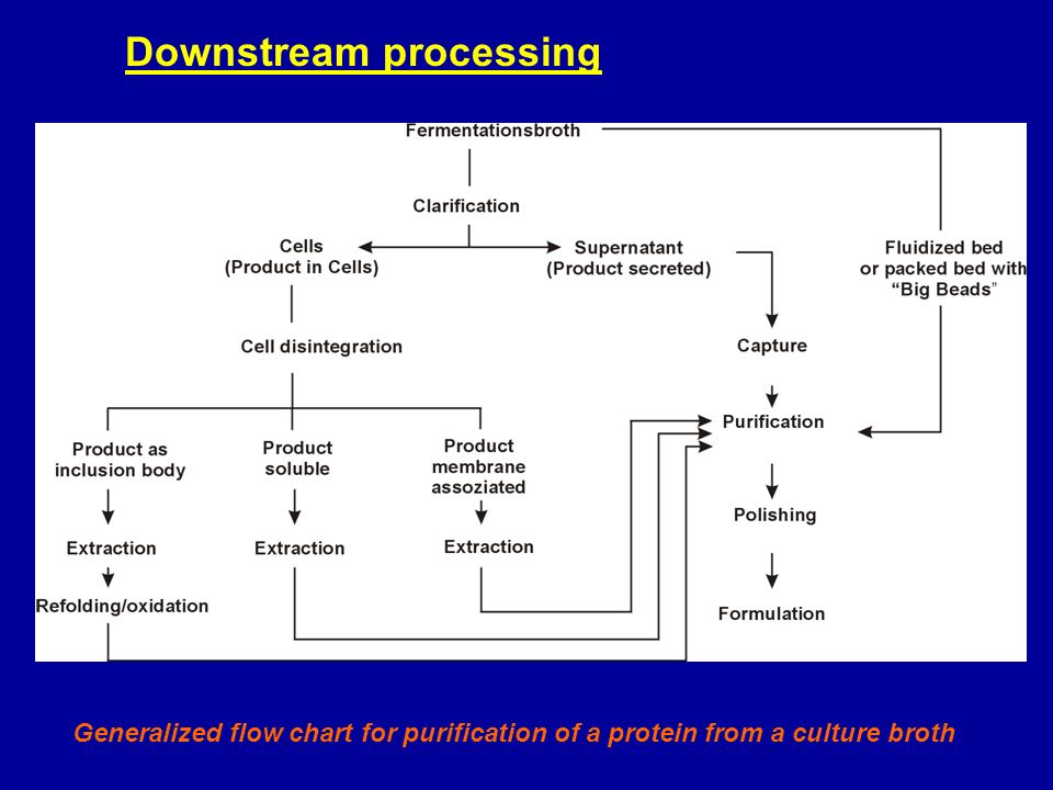 online information please culture and politics in the age of digital machines 2006