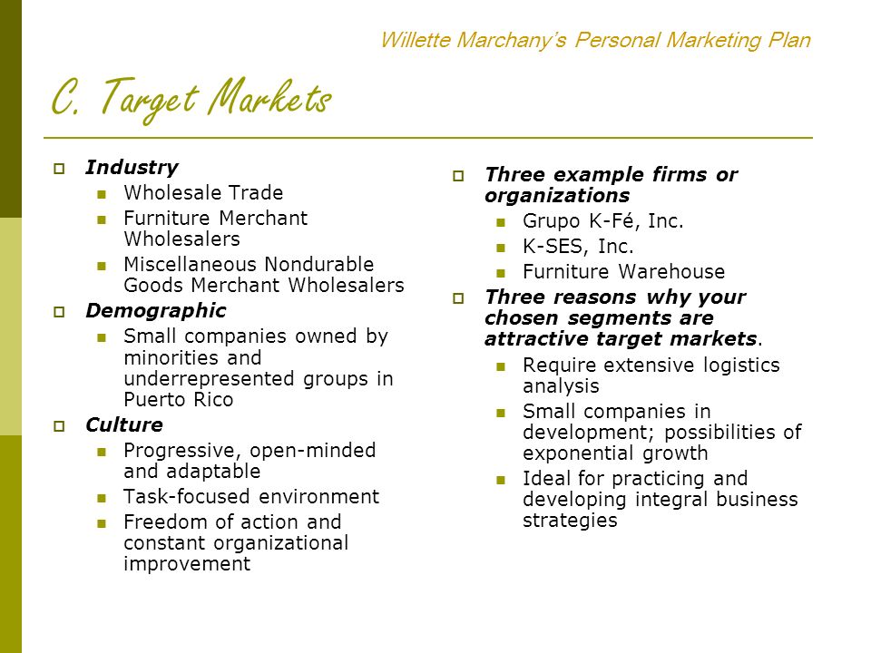 Target Market Analysis Example Business Plan