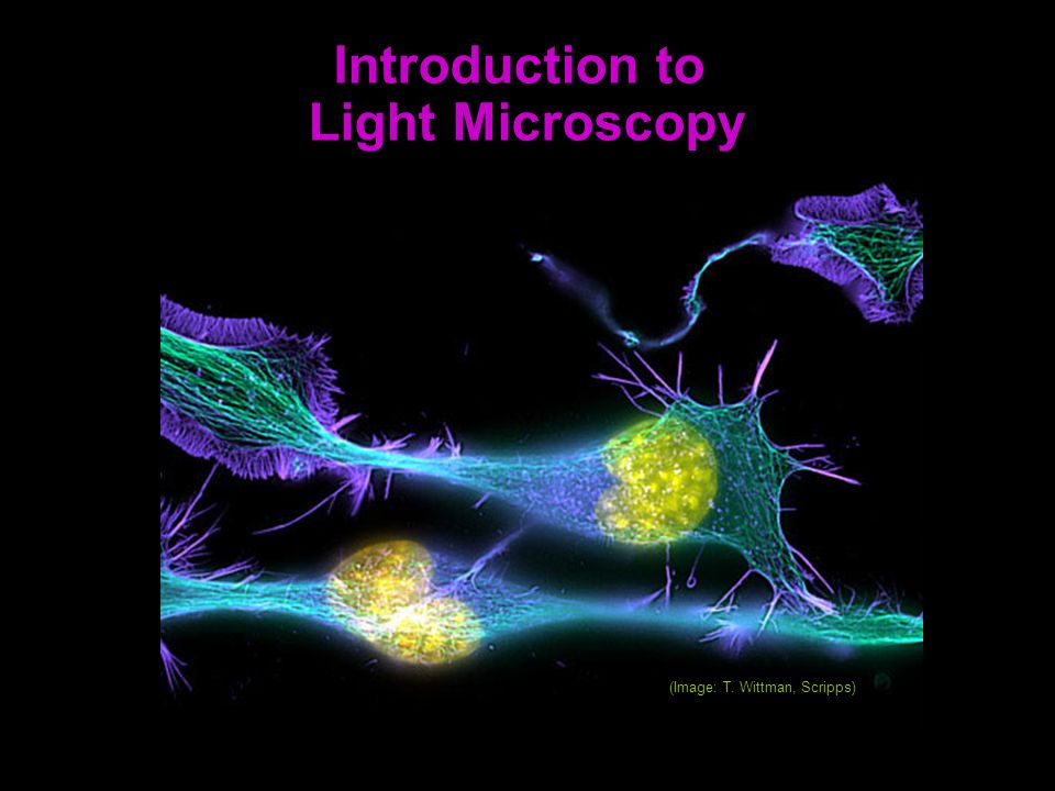 download Introduction