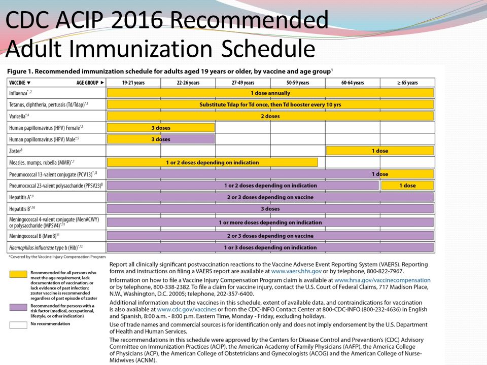 Cdc Adult Immunizations 106