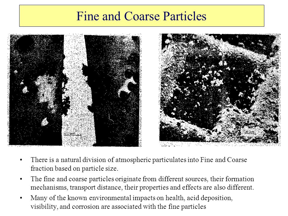 pdf genetics of the immune response 1983