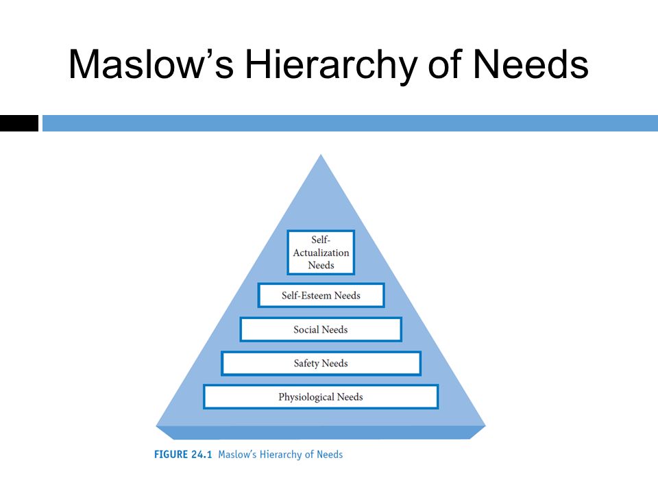 Maslow hierarchy of needs essay