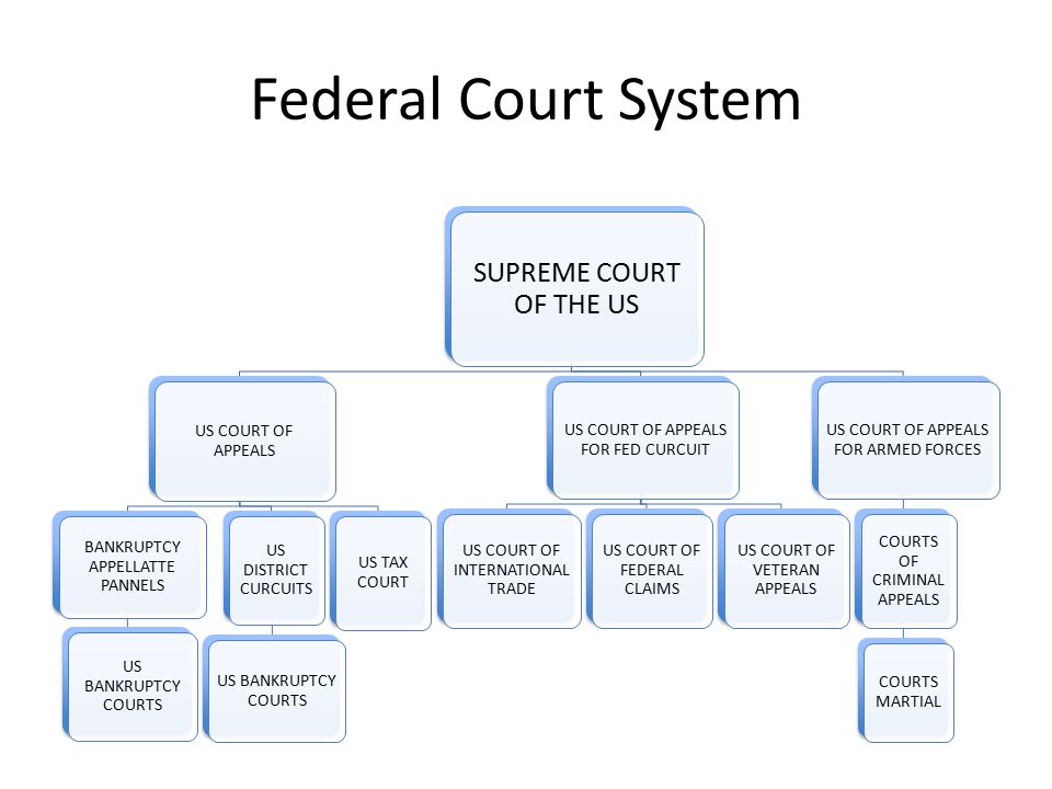 Federal+Court+System+SUPREME+COURT+OF+THE+US+US+COURT+OF+APPEALS