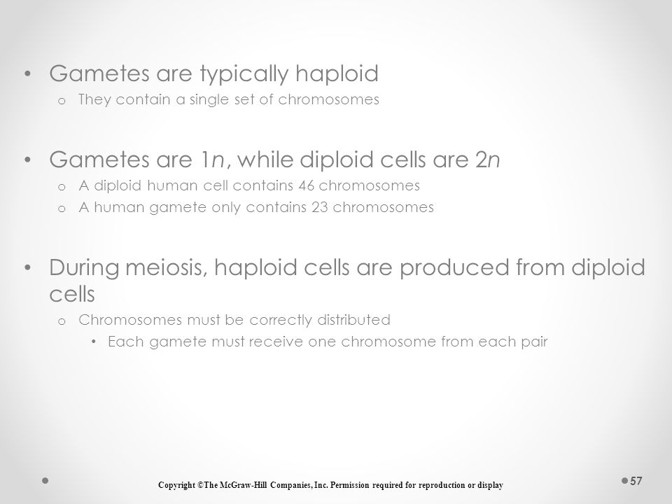 Gametes are normally haploid or diploid