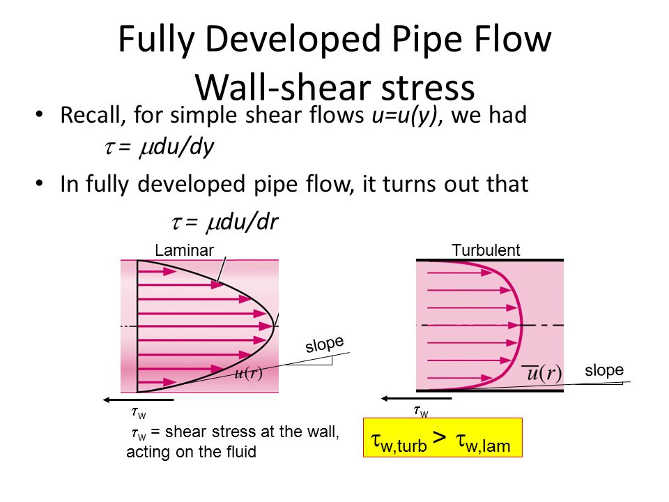 drought stress tolerance in plants