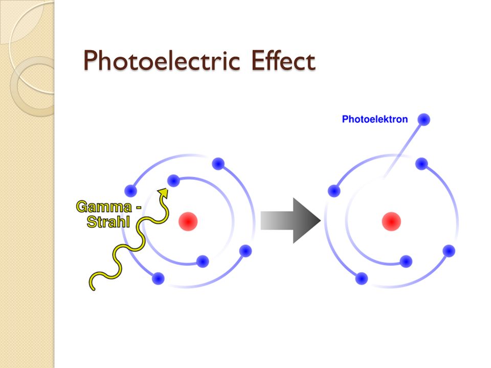 download systemic homeostasis and poikilostasis in sleep is rem sleep a physiological