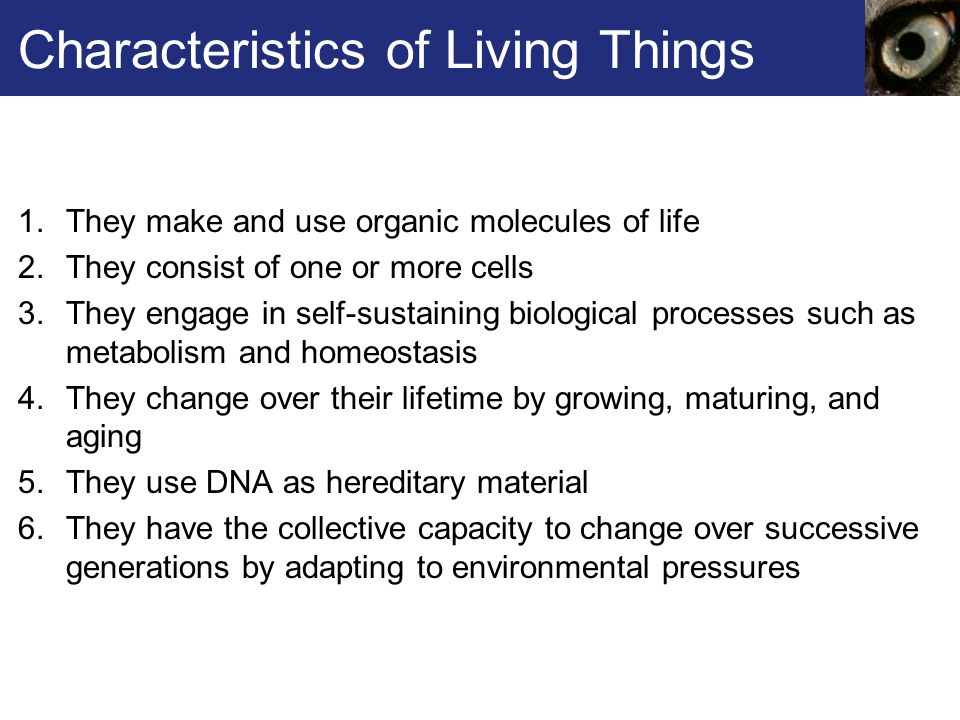 Download Pdf Complete Morphology And Physiology Of Living