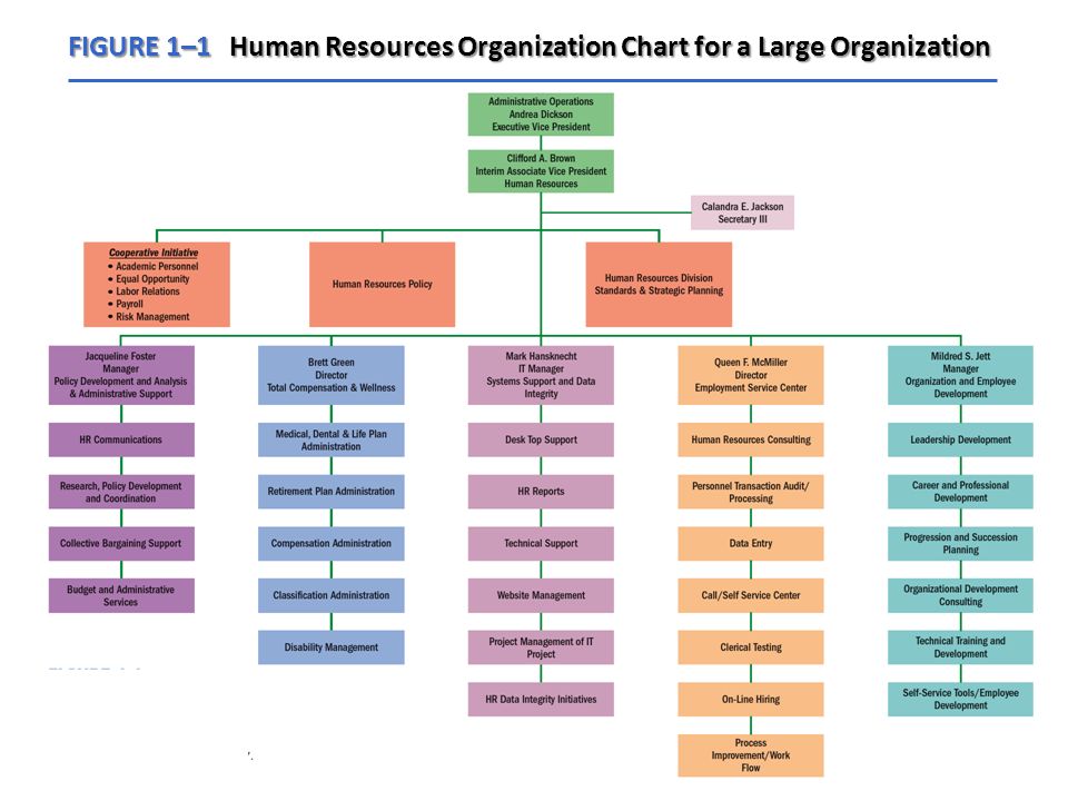 Human Resources Department Organizational Chart