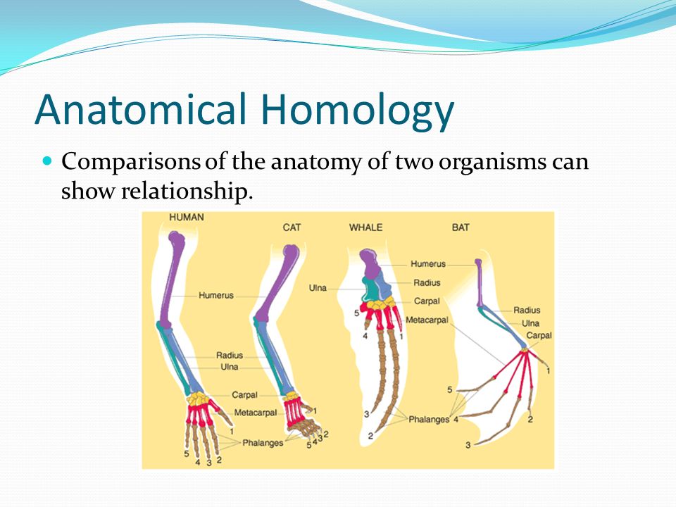 download molecular theory of