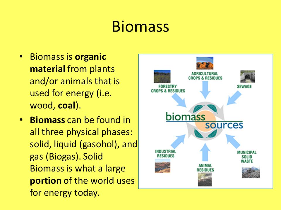 human physiology biochemistry