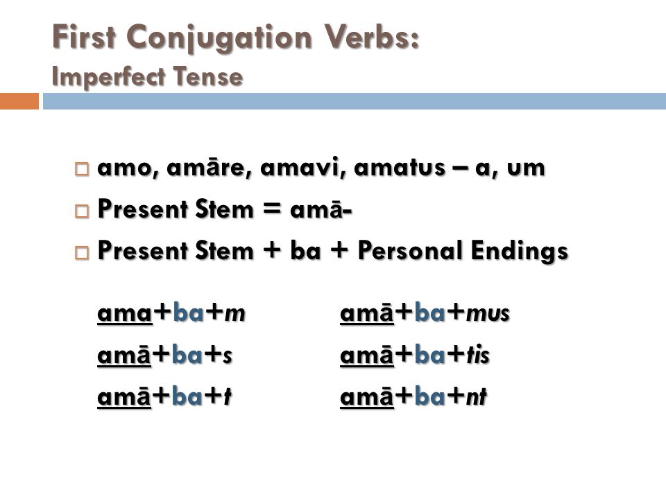 First Conjugation Latin Verbs 20