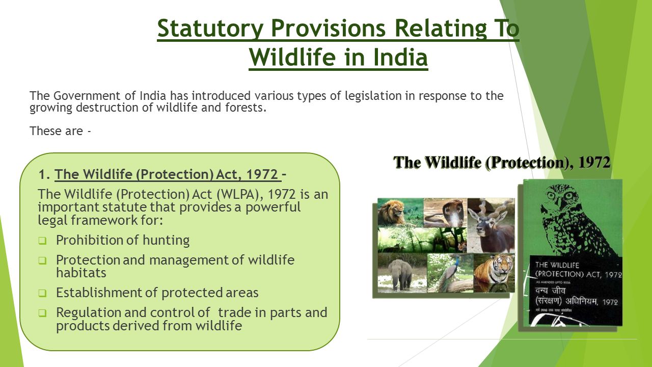 Download Ppt On Wildlife Conservation In India