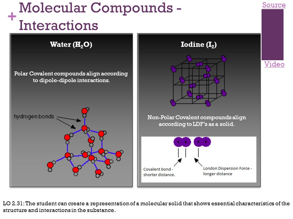 download optical polarizationin biomedical applications