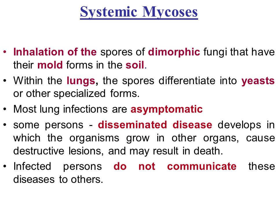 mycoses magdalene project org mycoses