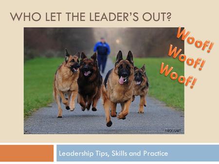 WHO LET THE LEADER’S OUT? Leadership Tips, Skills and Practice.