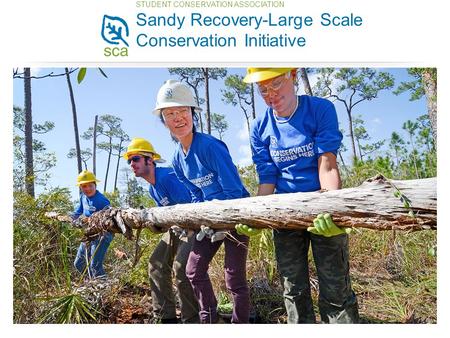 STUDENT CONSERVATION ASSOCIATION Sandy Recovery-Large Scale Conservation Initiative.