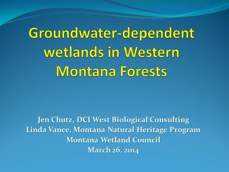 Groundwater-dependent wetlands in Western Montana Forests