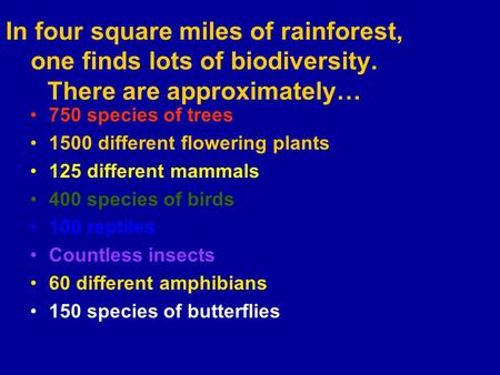 In four square miles of rainforest, one finds lots of biodiversity. There are approximately… 750 species of trees 1500 different flowering plants 125 different.