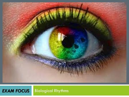 Exam Focus Biological Rhythms.