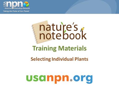 Training Materials Selecting Individual Plants. www.usanpn.org/participate/guidelines 2 1.Select a site 2.Select plant and animal species 3.Select individual.