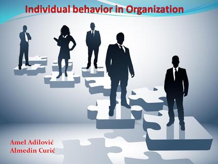 Amel Adilović Almedin Curić. Individual behavior refers to how individual behaves at work place, as a result of his personality and conditions in which.