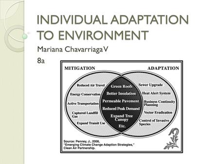 INDIVIDUAL ADAPTATION TO ENVIRONMENT Mariana Chavarriaga V 8a.