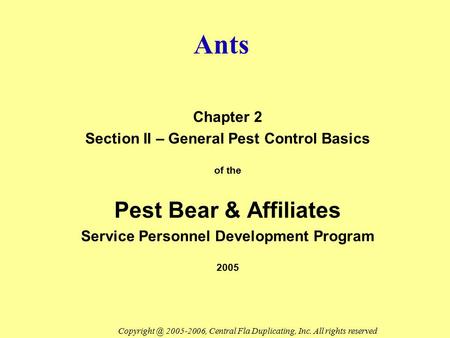 Ants Pest Bear & Affiliates Chapter 2
