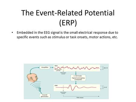 The Event-Related Potential (ERP) Embedded in the EEG signal is the small electrical response due to specific events such as stimulus or task onsets, motor.