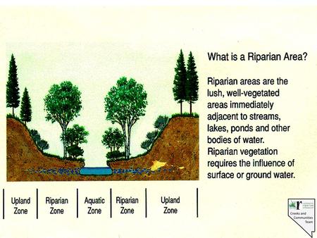 Riparian Proper Functioning Condition A process for assessment A defined condition A starting point A common language An interdisciplinary team approach.