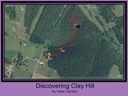 Discovering Clay Hill By Hallie Hamilton. Discovering Clay Hill Clay Hill is located on Old Lebanon Road in Campbellsville, Kentucky. Lebanon Middle School.